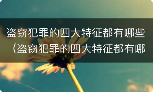 盗窃犯罪的四大特征都有哪些（盗窃犯罪的四大特征都有哪些呢）