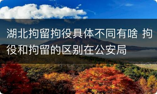 湖北拘留拘役具体不同有啥 拘役和拘留的区别在公安局