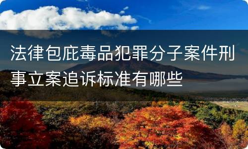 法律包庇毒品犯罪分子案件刑事立案追诉标准有哪些