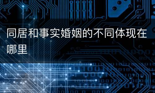同居和事实婚姻的不同体现在哪里