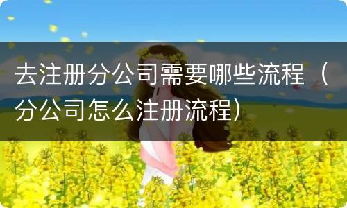去注册分公司需要哪些流程（分公司怎么注册流程）