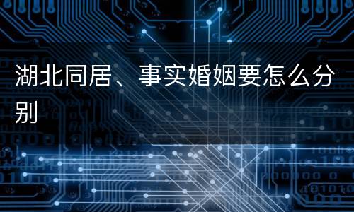 湖北同居、事实婚姻要怎么分别