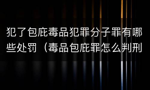 犯了包庇毒品犯罪分子罪有哪些处罚（毒品包庇罪怎么判刑）