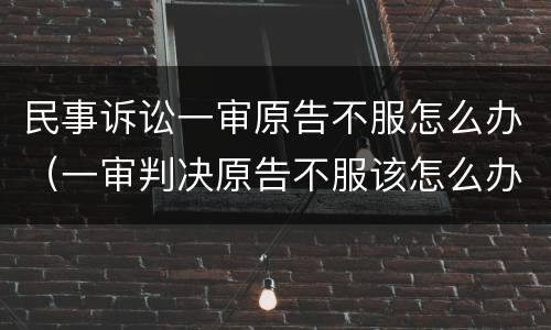 民事诉讼一审原告不服怎么办（一审判决原告不服该怎么办）