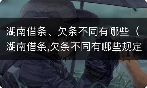 湖南借条、欠条不同有哪些（湖南借条,欠条不同有哪些规定）