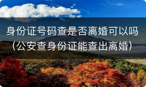 身份证号码查是否离婚可以吗（公安查身份证能查出离婚）