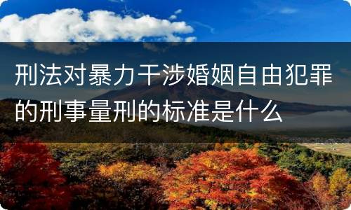 刑法对暴力干涉婚姻自由犯罪的刑事量刑的标准是什么