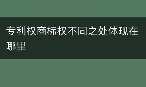 专利权商标权不同之处体现在哪里