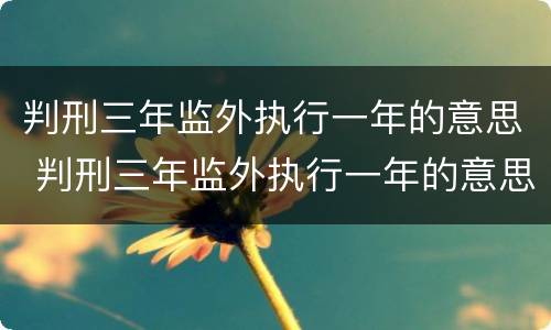 判刑三年监外执行一年的意思 判刑三年监外执行一年的意思是