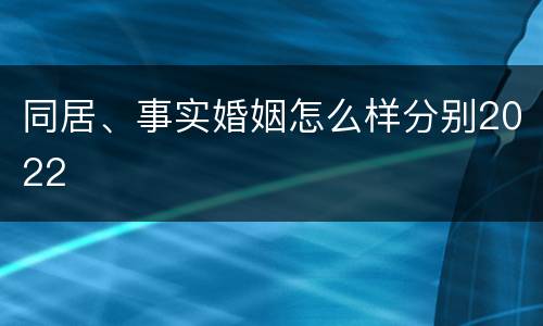 同居、事实婚姻怎么样分别2022