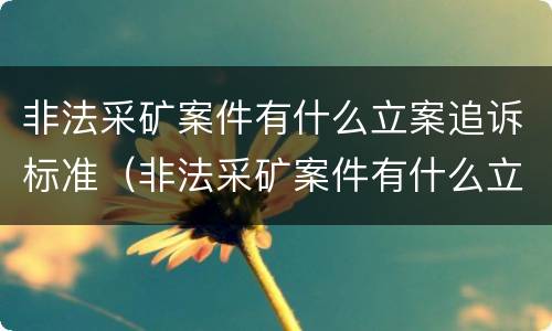 非法采矿案件有什么立案追诉标准（非法采矿案件有什么立案追诉标准吗）