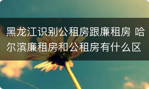 黑龙江识别公租房跟廉租房 哈尔滨廉租房和公租房有什么区别
