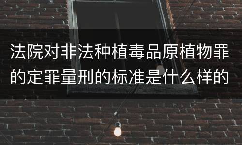 法院对非法种植毒品原植物罪的定罪量刑的标准是什么样的