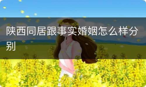 陕西同居跟事实婚姻怎么样分别