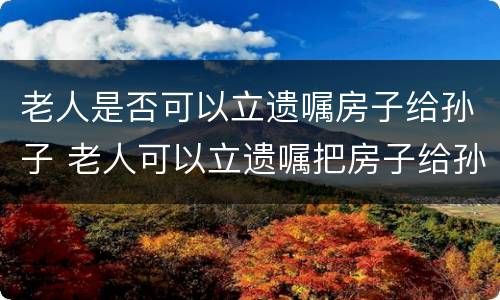 老人是否可以立遗嘱房子给孙子 老人可以立遗嘱把房子给孙子吗
