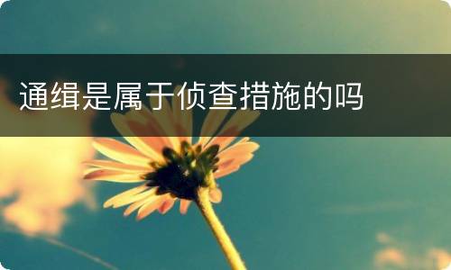 通缉是属于侦查措施的吗