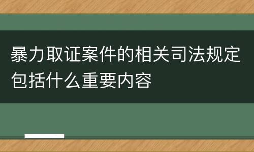 暴力取证案件的相关司法规定包括什么重要内容