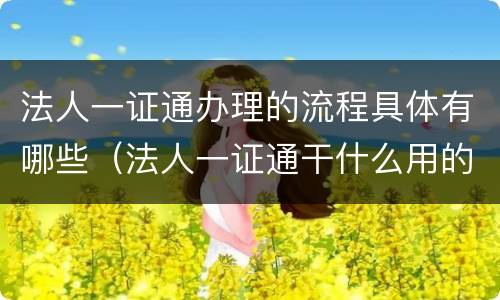 法人一证通办理的流程具体有哪些（法人一证通干什么用的）