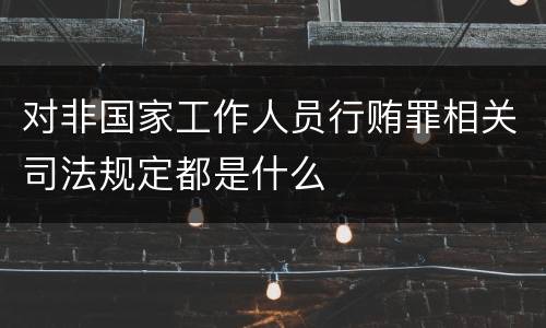 对非国家工作人员行贿罪相关司法规定都是什么