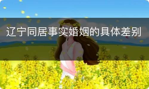 辽宁同居事实婚姻的具体差别