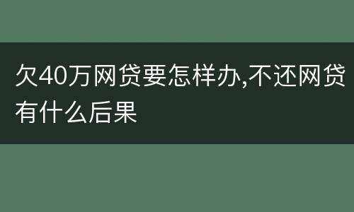 欠40万网贷要怎样办,不还网贷有什么后果