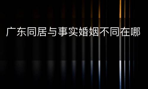 广东同居与事实婚姻不同在哪