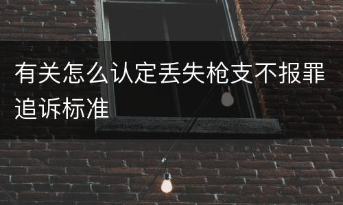 有关怎么认定丢失枪支不报罪追诉标准