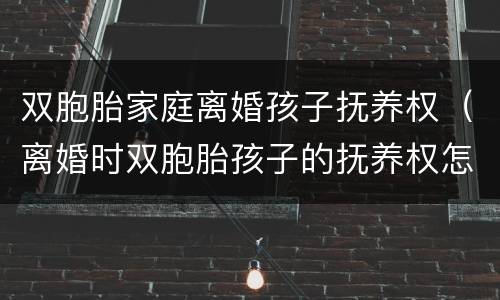 双胞胎家庭离婚孩子抚养权（离婚时双胞胎孩子的抚养权怎么判）