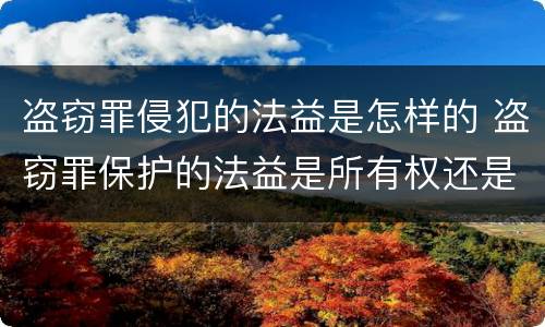 盗窃罪侵犯的法益是怎样的 盗窃罪保护的法益是所有权还是占有权