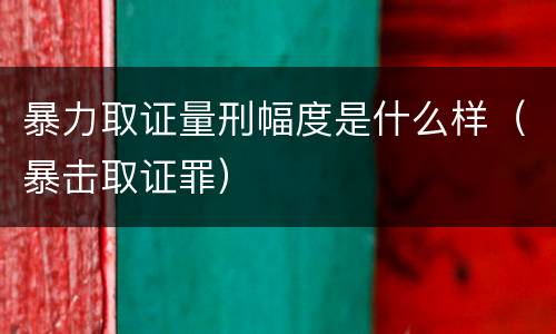 暴力取证量刑幅度是什么样（暴击取证罪）