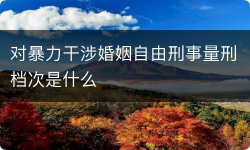 对暴力干涉婚姻自由刑事量刑档次是什么