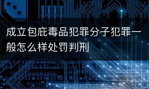 成立包庇毒品犯罪分子犯罪一般怎么样处罚判刑