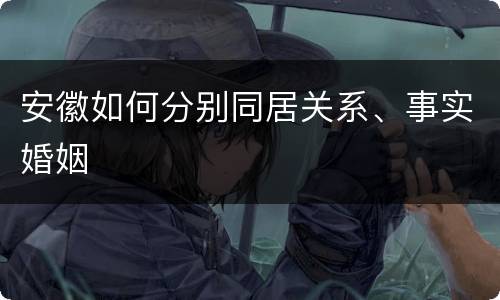 安徽如何分别同居关系、事实婚姻