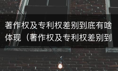 著作权及专利权差别到底有啥体现（著作权及专利权差别到底有啥体现呢）