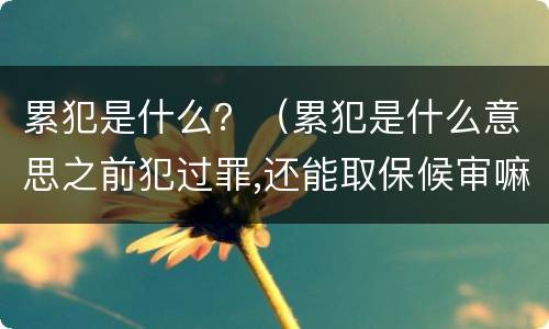累犯是什么？（累犯是什么意思之前犯过罪,还能取保候审嘛）