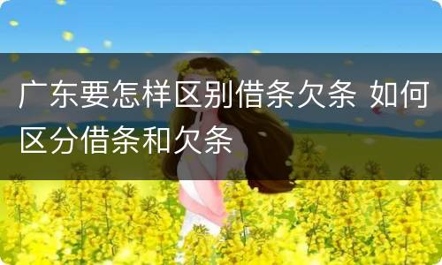 广东要怎样区别借条欠条 如何区分借条和欠条