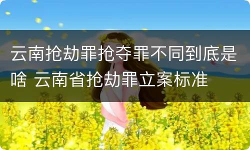 云南抢劫罪抢夺罪不同到底是啥 云南省抢劫罪立案标准