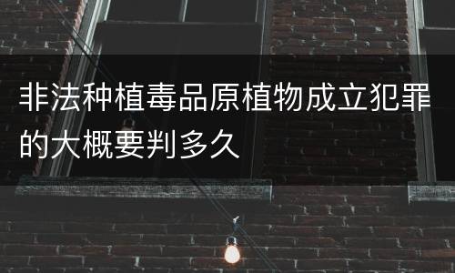 非法种植毒品原植物成立犯罪的大概要判多久