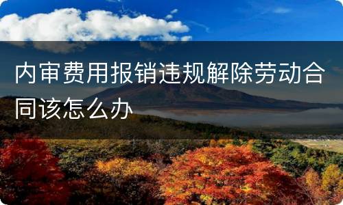 内审费用报销违规解除劳动合同该怎么办