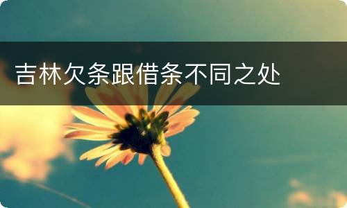 吉林欠条跟借条不同之处