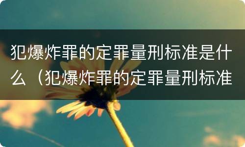 犯爆炸罪的定罪量刑标准是什么（犯爆炸罪的定罪量刑标准是什么）