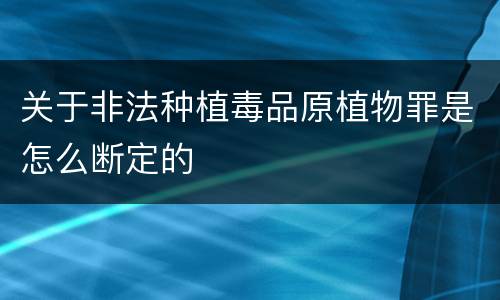 关于非法种植毒品原植物罪是怎么断定的