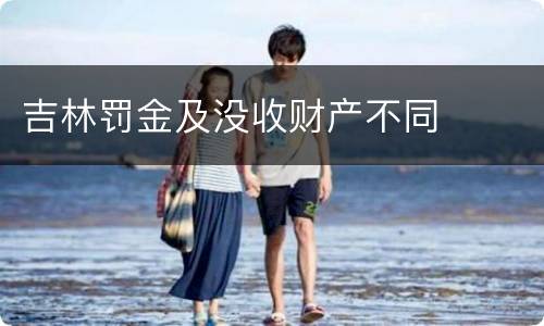 吉林罚金及没收财产不同