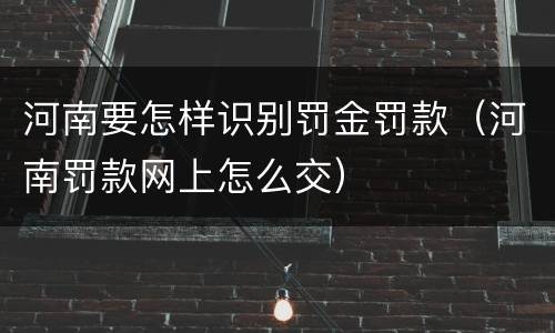 河南要怎样识别罚金罚款（河南罚款网上怎么交）