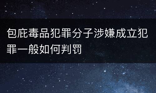 包庇毒品犯罪分子涉嫌成立犯罪一般如何判罚
