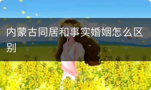 内蒙古同居和事实婚姻怎么区别