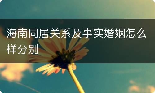 海南同居关系及事实婚姻怎么样分别