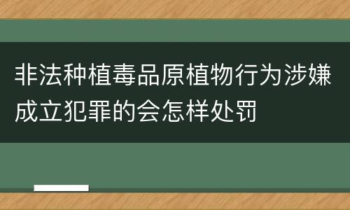 非法种植毒品原植物行为涉嫌成立犯罪的会怎样处罚
