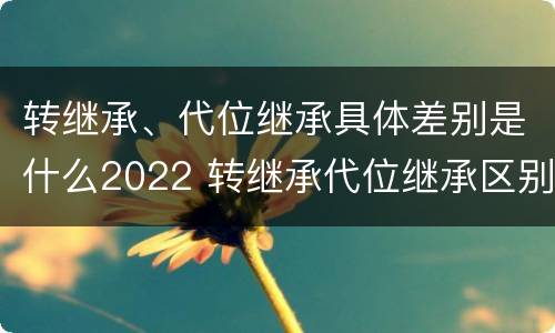 转继承、代位继承具体差别是什么2022 转继承代位继承区别
