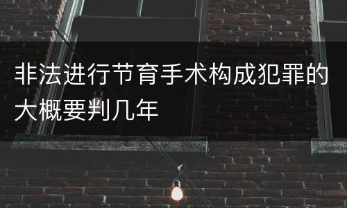 非法进行节育手术构成犯罪的大概要判几年